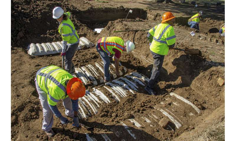 21 new coffins found in search for Tulsa Massacre victims