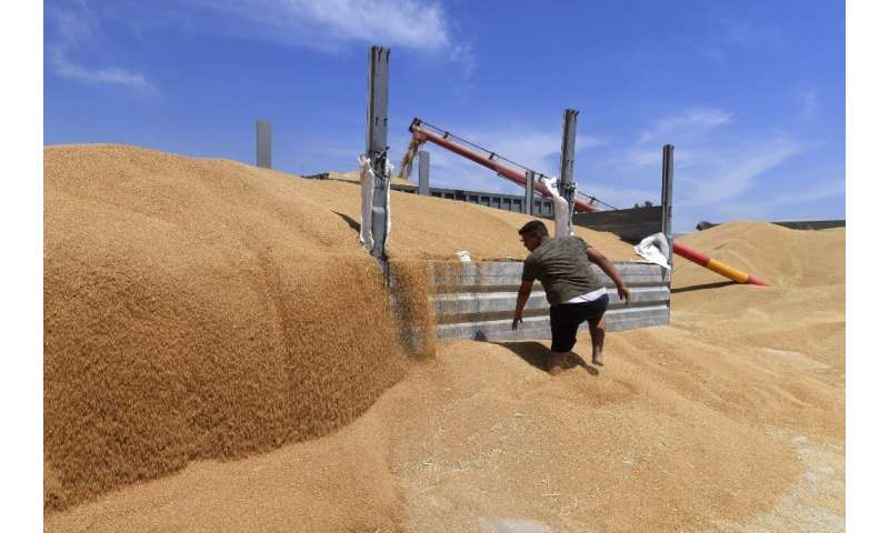 A 2014 World Bank report argued that Tunisia &quot;does not have a strong comparative advantage in cereals&quot; and should inst