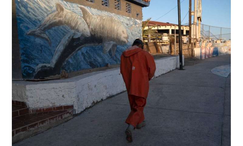 A fisherman walks next to a mural of a vaquita porpoise in San Felipe in northwestern Mexico