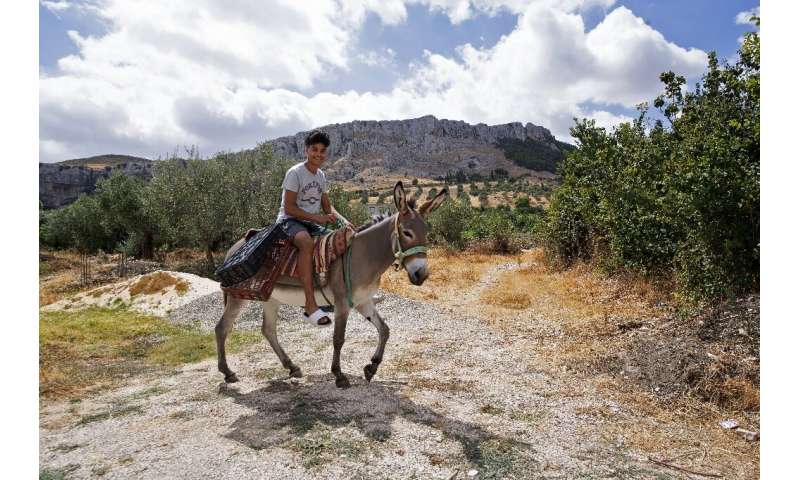 A young man rides a donkey in the Tunisian city of Jibbak