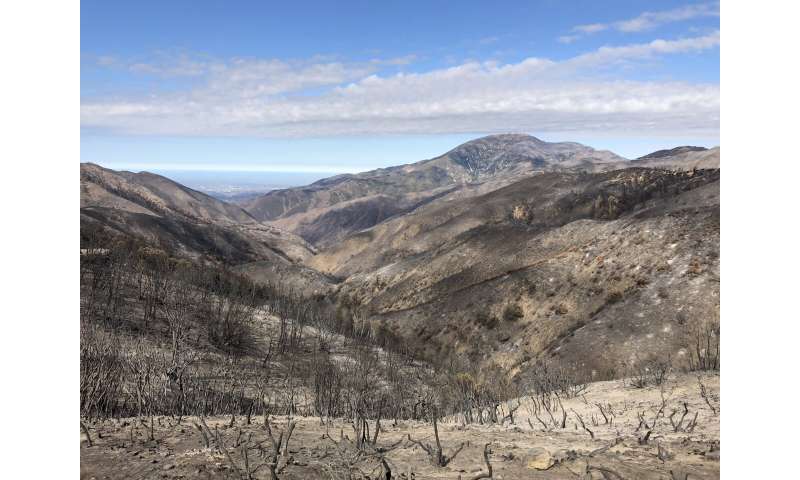 After wildfires, do microbes exhale potent greenhouse gas?