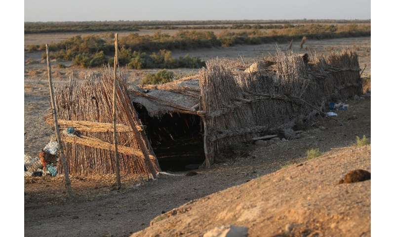 An abandoned shack in the once-lush Huwaizah Marshes -- &quot;We are at a loss where to go,&quot; says struggling buffalo keeper
