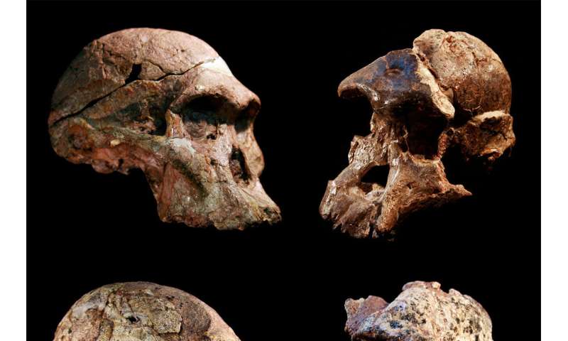 Best of Last Week – Human fossils older than thought, cause of long COVID and monkeypox evolving faster than expected