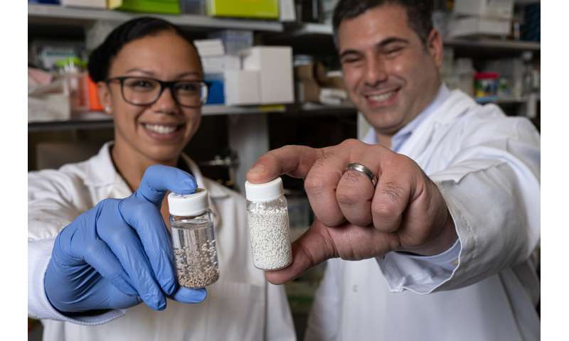 Gli impianti della "fabbrica di farmaci" eliminano il cancro ovarico e del colon-retto nei topi