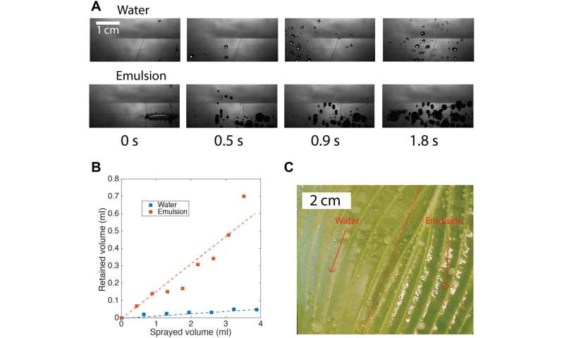 Dynamics of an impacting emulsion droplet – the influence of materials science in agriculture
