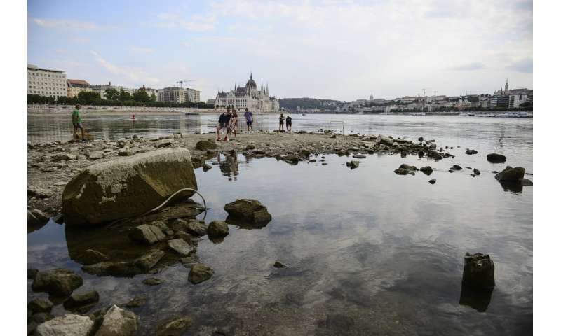 European drought dries up rivers, kills fish, shrivels crops