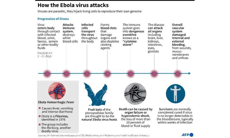 埃博拉病毒如何攻击的事实文件