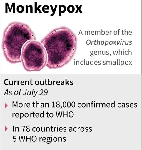 Factfile on the current outbreak of monkeypox around the world, as of July 29