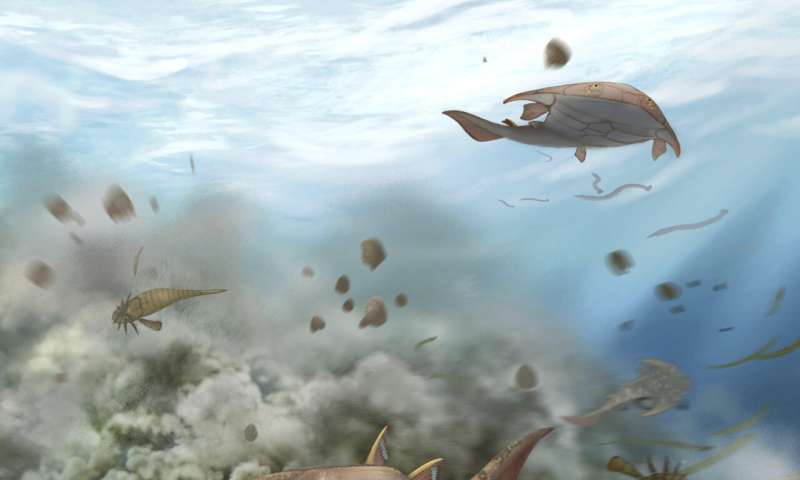 Улов ископаемых рыб из Китая включает в себя самые старые зубы