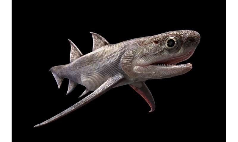 Улов ископаемых рыб из Китая включает в себя самые старые зубы