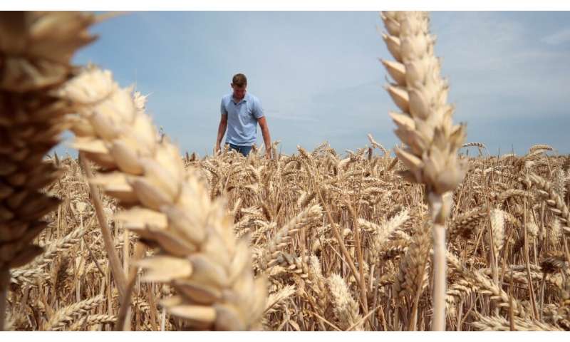 Henning Christ, 31, said his farm in Germany was about 20 percent below its average annual yield