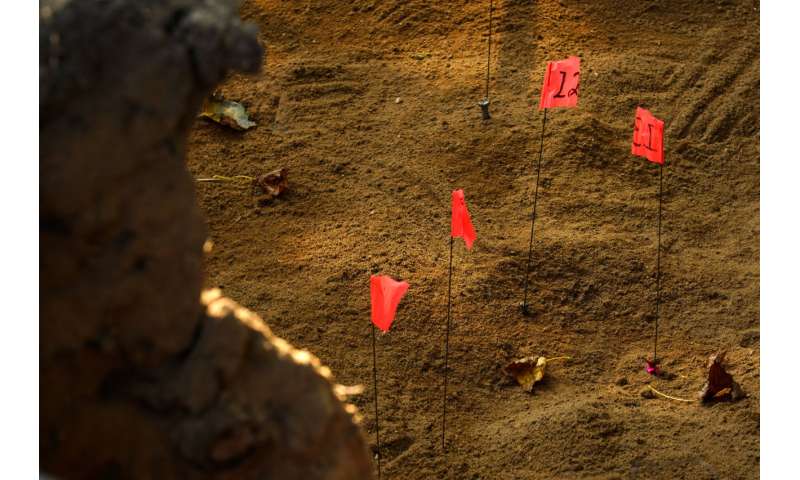 Hessian remains unearthed at Revolutionary War battle site