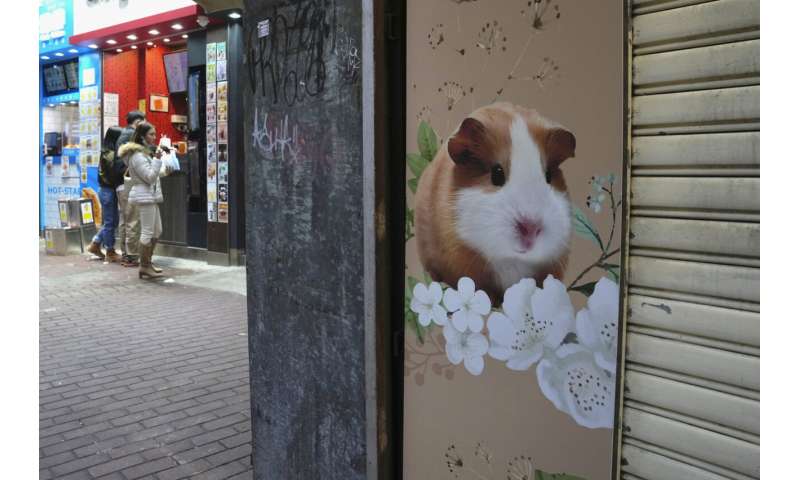 Hong Kong to kill 2,000 animals after hamsters get COVID-19