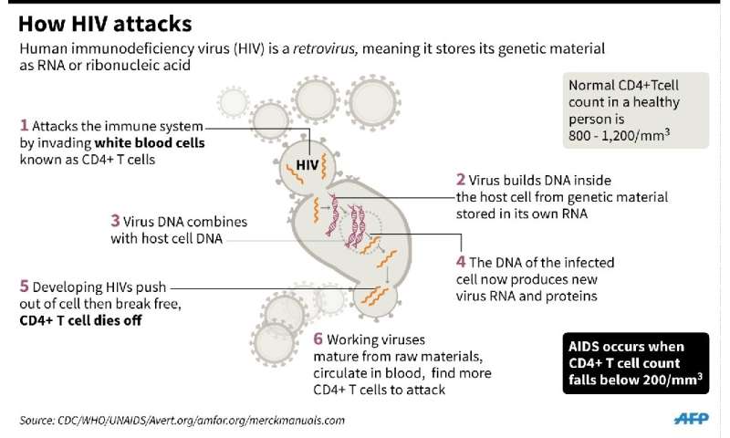 艾滋病病毒攻击白细胞如何