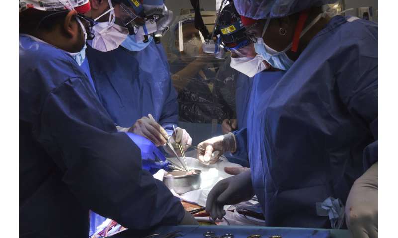 In primo luogo, i chirurghi statunitensi trapiantano il cuore di maiale in un paziente umano