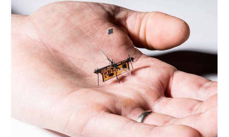 Insect-inspired AI for autonomous robots