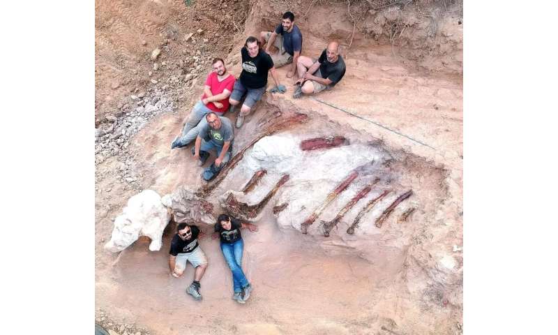 Maior esqueleto de dinossauro da Europa pode ter sido descoberto em Portugal
