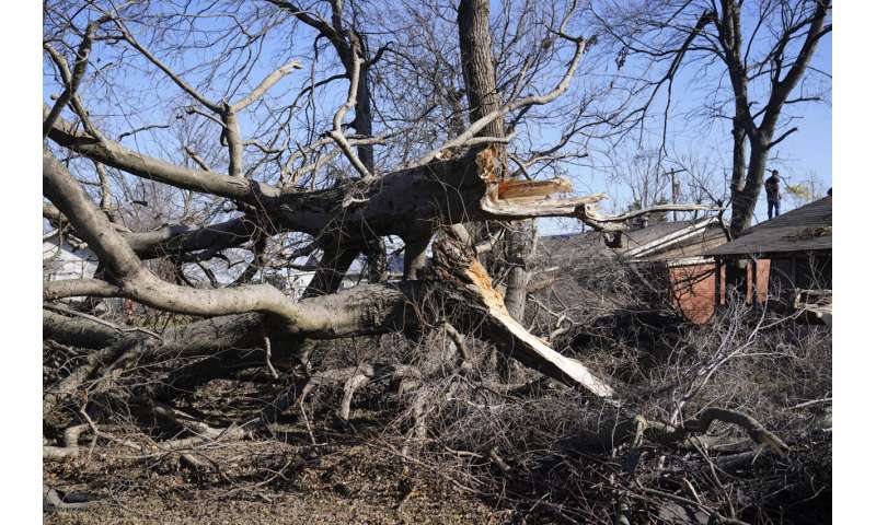 Massive US storm brings tornadoes to South, blizzard threat