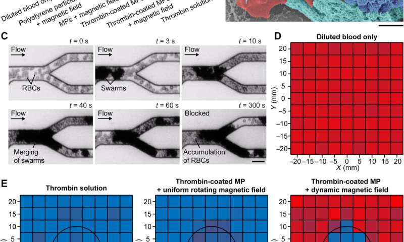Microrobots in swarms for medical embolization
