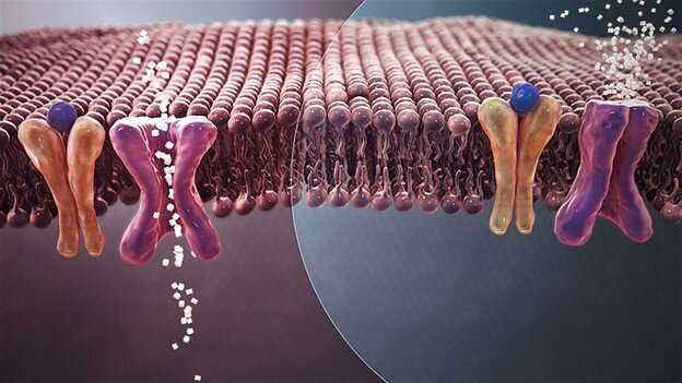 Nanomaterial could enhance diabetes treatment