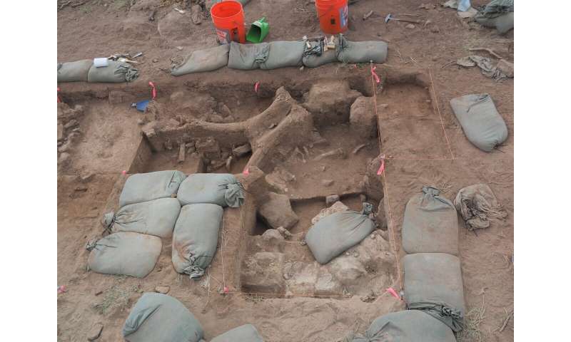 New Mexico mammoths among best evidence for early humans in North America