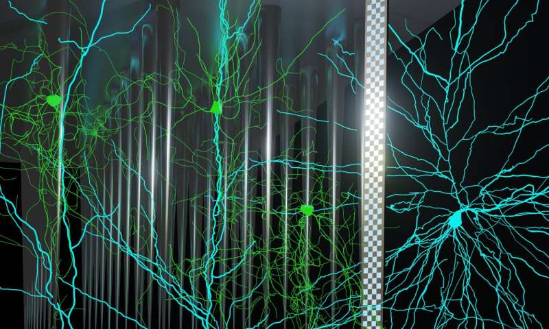 پروتکل های جدید برای ثبت فعالیت عصبی با استفاده از نوروپیکسل در تنظیمات بالینی