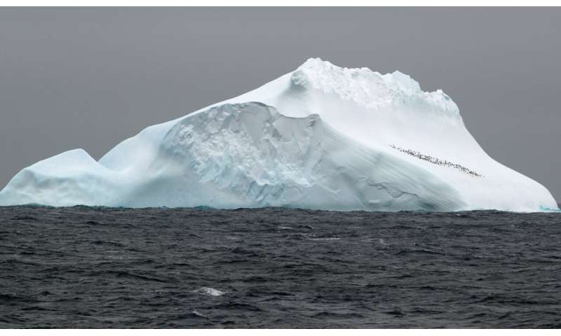 No glacial fertilization effect in the Antarctic Ocean