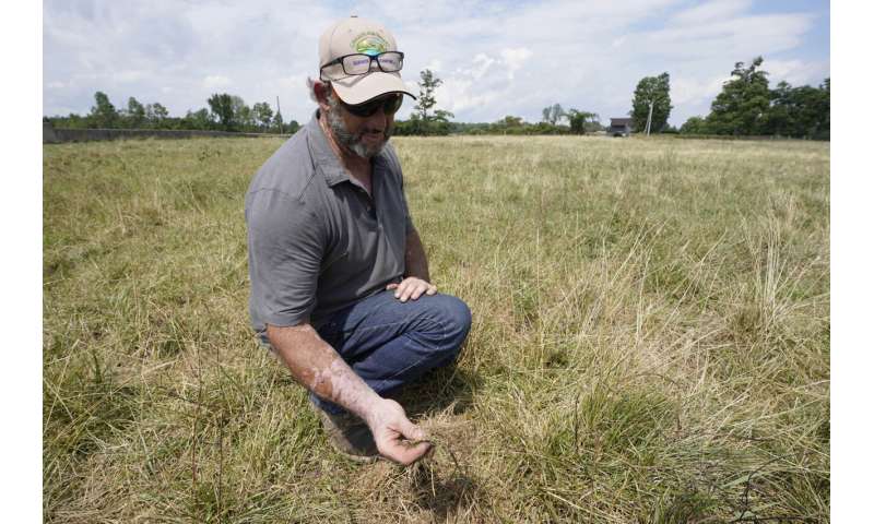 Northeastern farmers face new challenges with severe drought