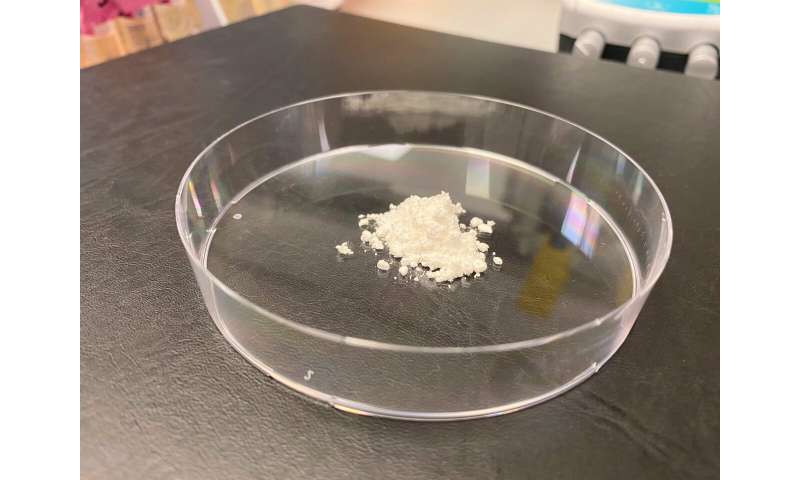 NTU Singapore scientists develop coated probiotics that could be effectively delivered into the human gut