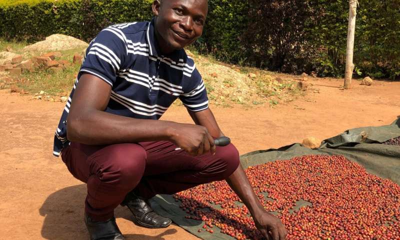 Possible new ways to continue growing coffee in a changing climate