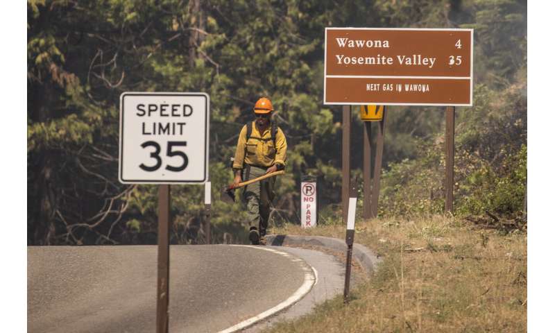 Preventative fires credited with saving Yosemite sequoias