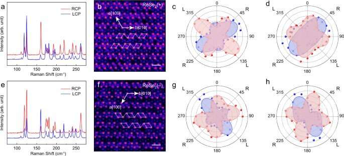 Quantum interference directed chiral Raman scattering in 2-D enantiomers