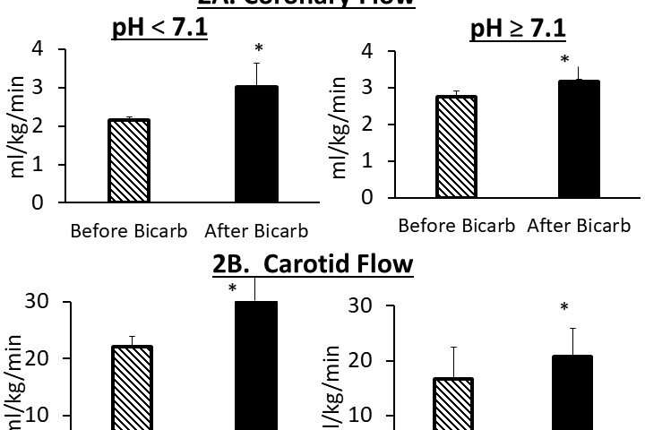 Rapid bicarbonate bolus post extensive neonatal resuscitation leads to increased perfusion to the heart and brain
