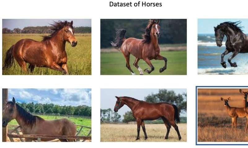 Researchers leverage new machine learning methods to learn from noisy labels for image classification