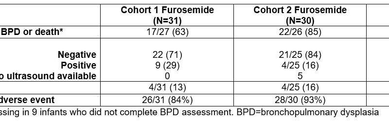 Safety of furosemide in preterm infants at risk of bronchopulmonary dysplasia: A randomized controlled trial