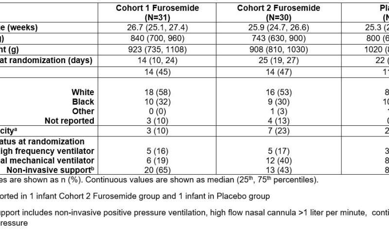 Safety of furosemide in preterm infants at risk of bronchopulmonary dysplasia: A randomized controlled trial