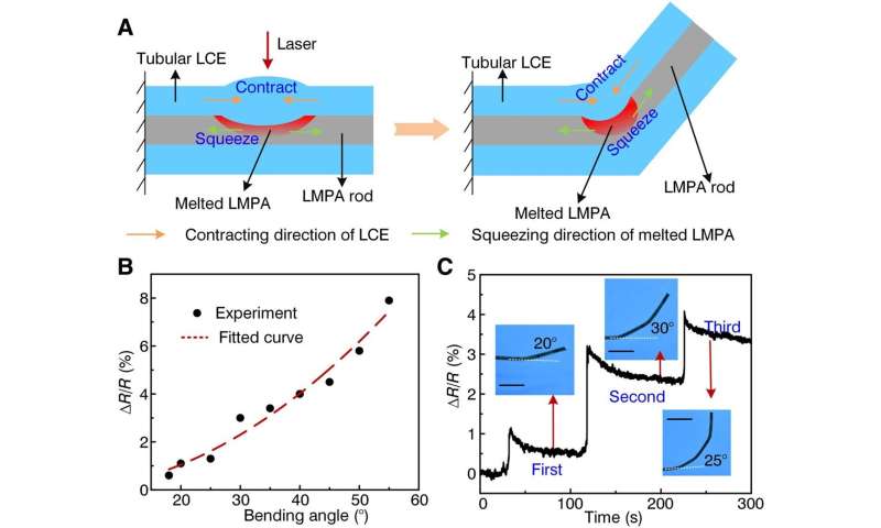 Self-sensing artificial muscle-based on liquid crystal elastomer and low-melting point alloys