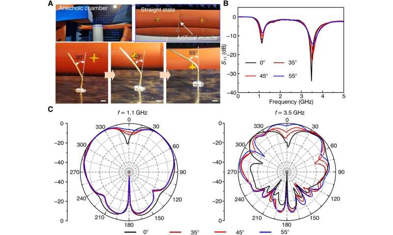 Self-sensing artificial muscle-based on liquid crystal elastomer and low-melting point alloys