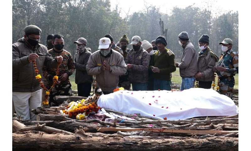 محافظان غمگین محیط زیست به آرامی جسد کولاروالی را به محل تشییع جنازه ای که برای سوزاندن مراسم تشییع او با گل تزئین شده بود، بردند.