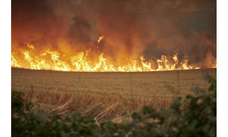 Espanha e Alemanha combatem incêndios florestais em meio a onda de calor incomum