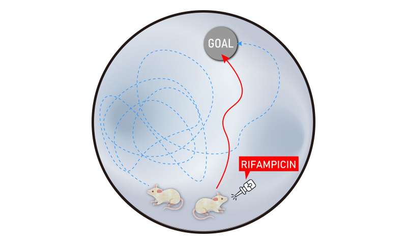 توقف زوال عقل مرتبط با C9orf72 در موش های جهش یافته با آنتی بیوتیک ریفامپیسین