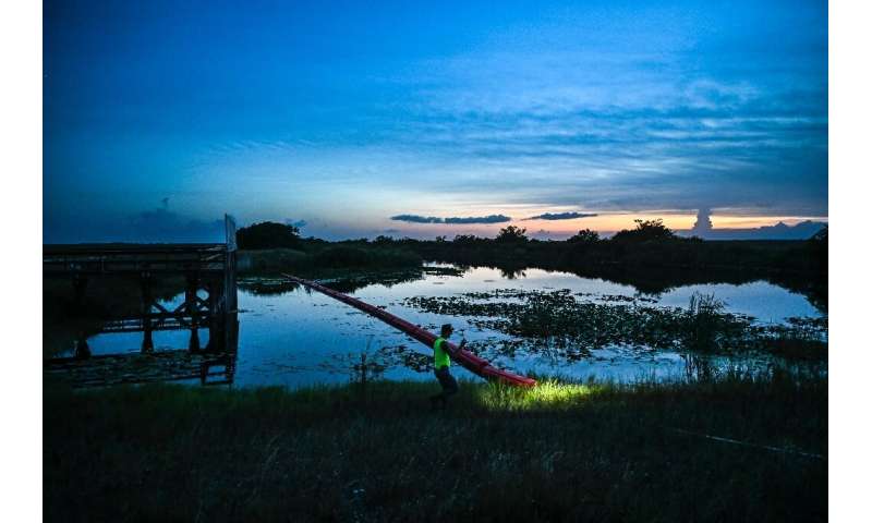 The Everglades National Park at dusk