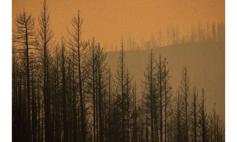 The McKinney Fire in the Klamath National Forest is the largest wildfire in California this year