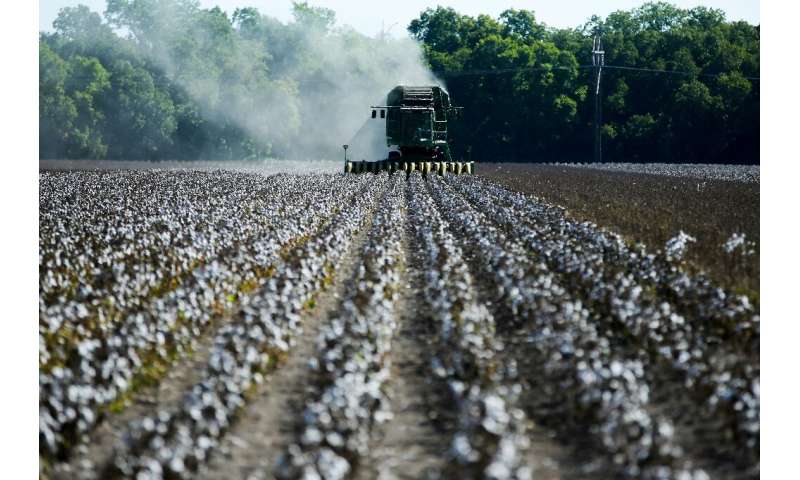 The United States is the world's third largest supplier of cotton after India and China