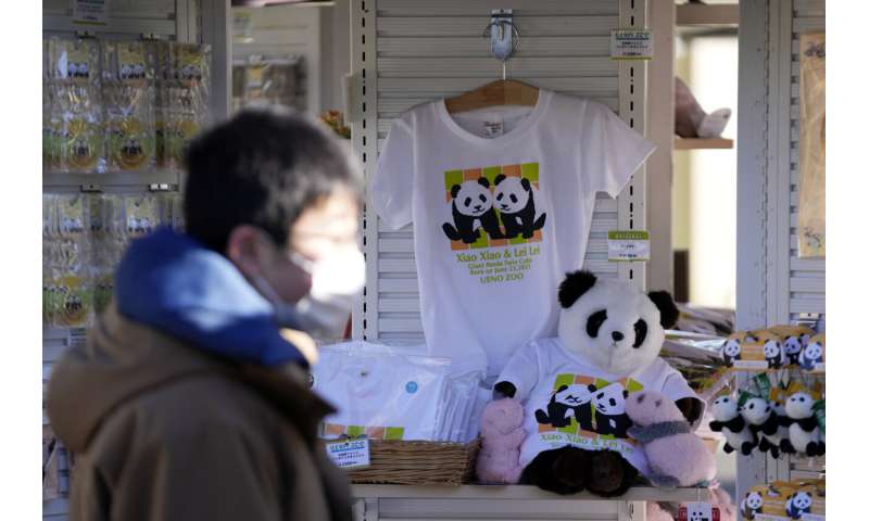 اولین دوقلوهای پاندا در باغ وحش توکیو، طرفداران وفادار