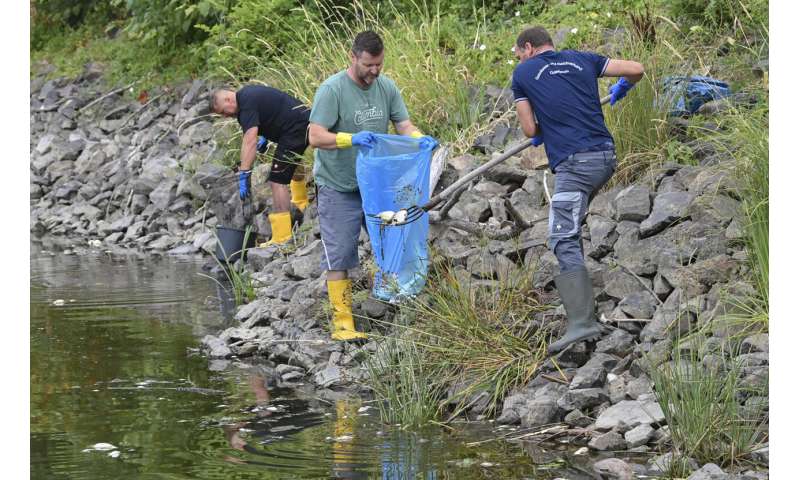 What killed tons of fish in European river? Mystery deepens