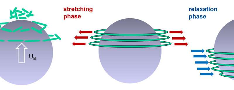 Why bubbles in viscoelastic liquids move faster