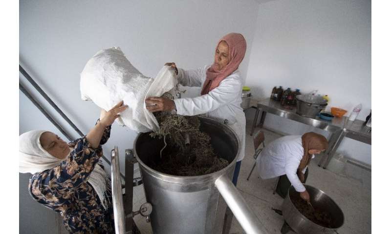 Women work in a cooperative to produce essential oils from wild plants