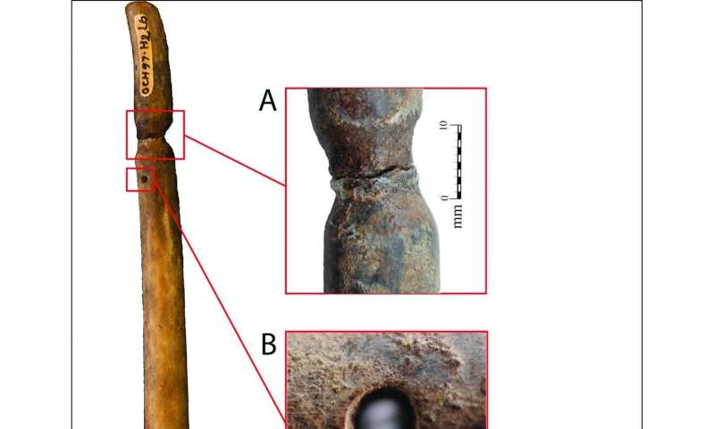 2,000-YEAR-OLD STRINGED INSTRUMENT UNCOVERED IN VIETNAM