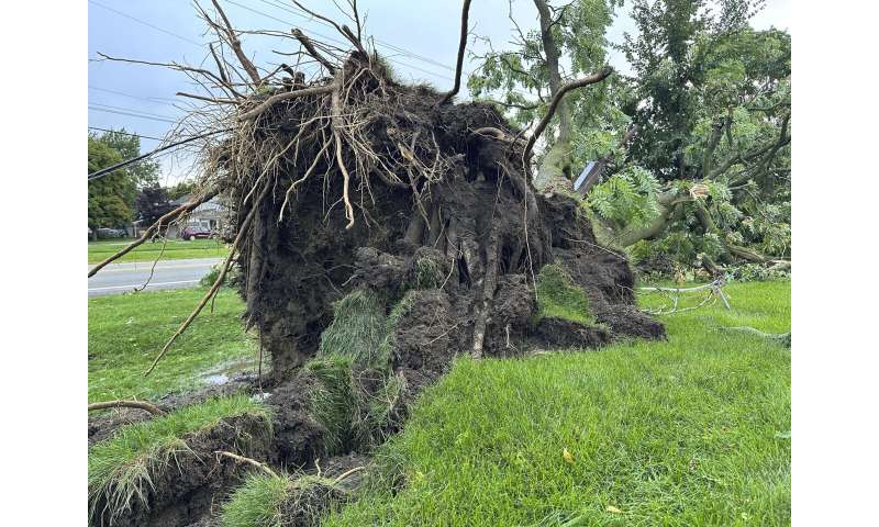 A Michigan storm with 75 mph winds downs trees and power lines; several people are killed